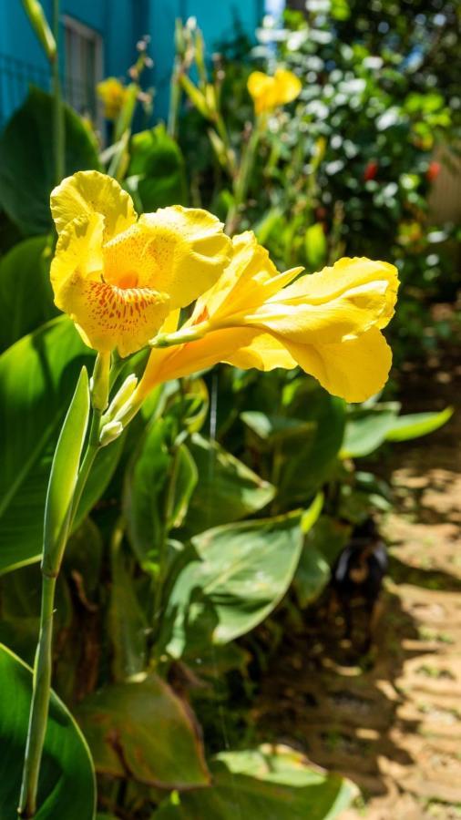 פרננדו דה נורונהה Pousada Flor Do Atlantico מראה חיצוני תמונה